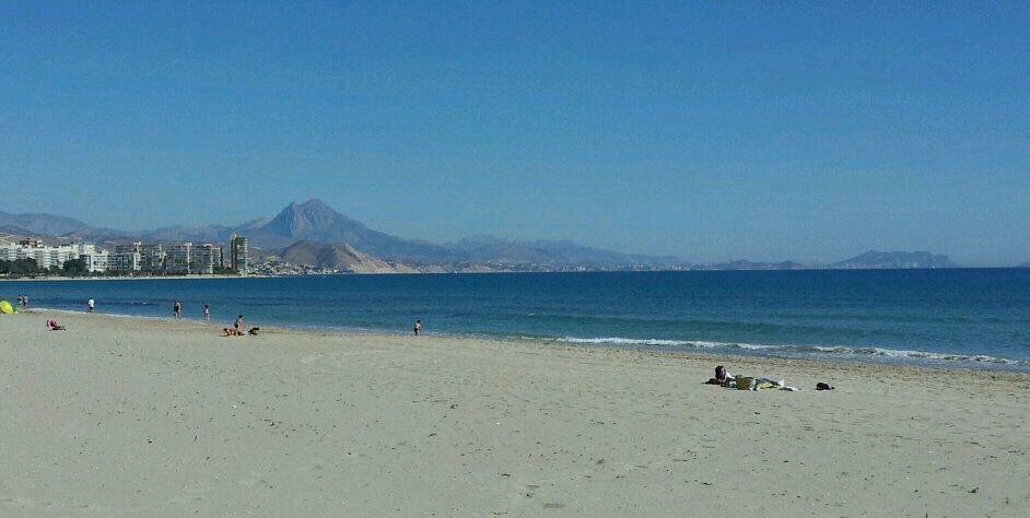 MJAM 🏴‍☠️ banner