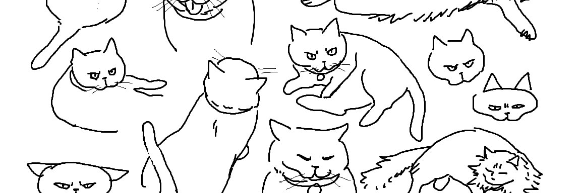 msst211's profile banner image