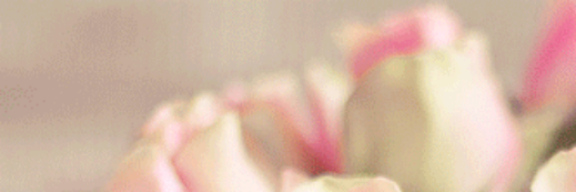 bayan_alhusiny's profile banner image