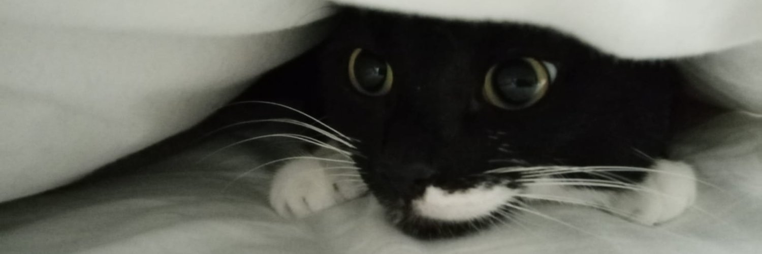 aarazli's profile banner image