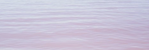 SweetLightRol's profile banner image