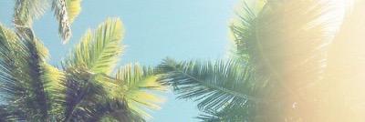 Han Renèe banner