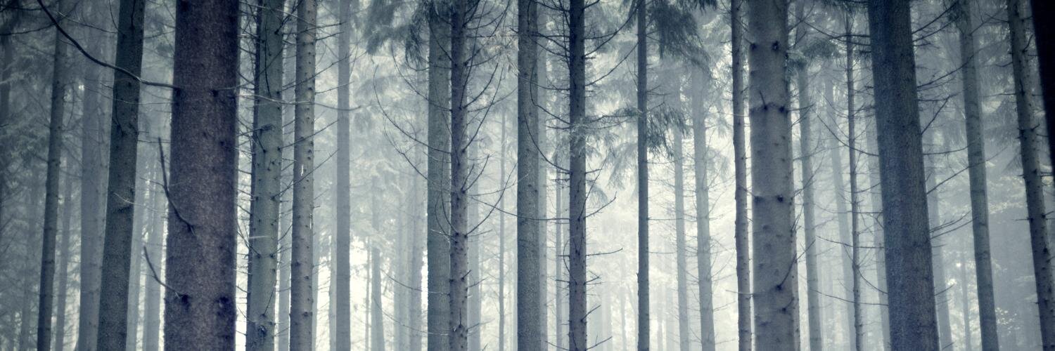 SebastianHuber's profile banner image