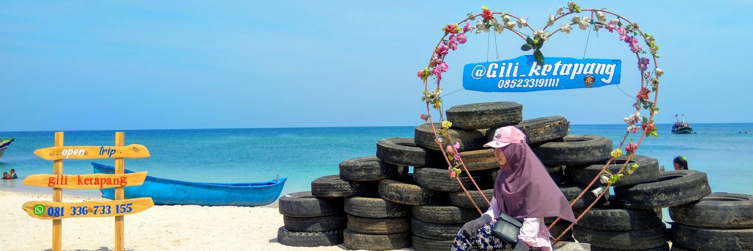 saridewikus's profile banner image