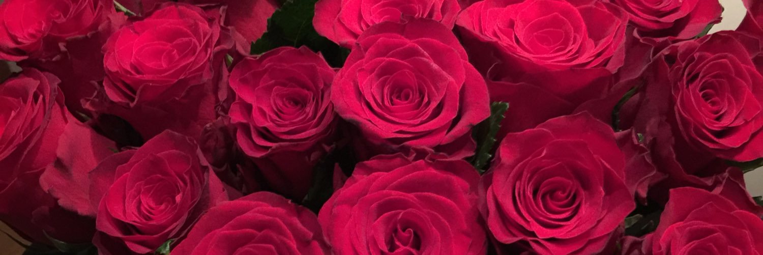 annikent's profile banner image