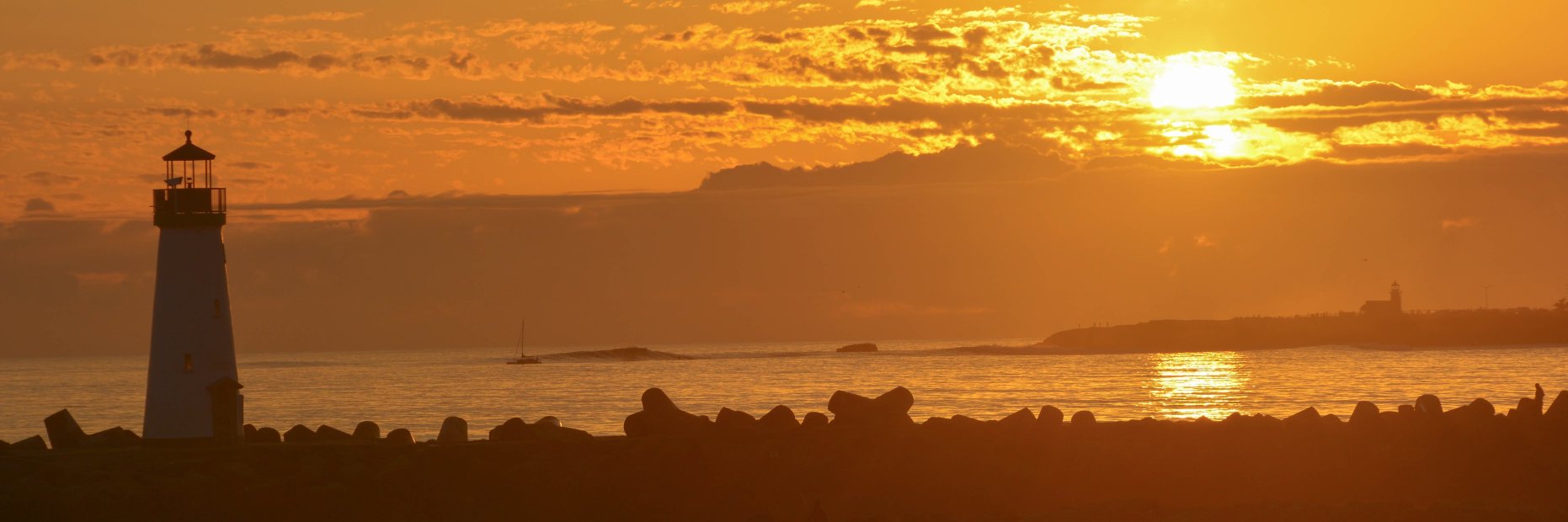 Christopher Wellise banner