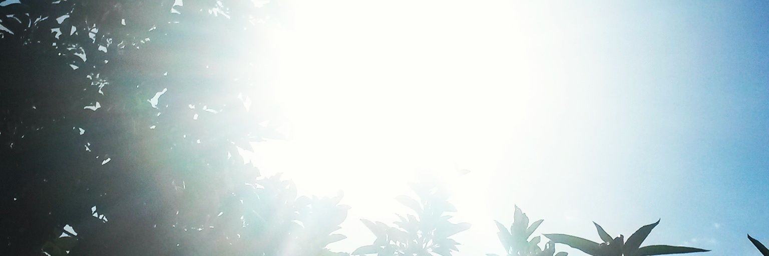 FaellaOliver31's profile banner image