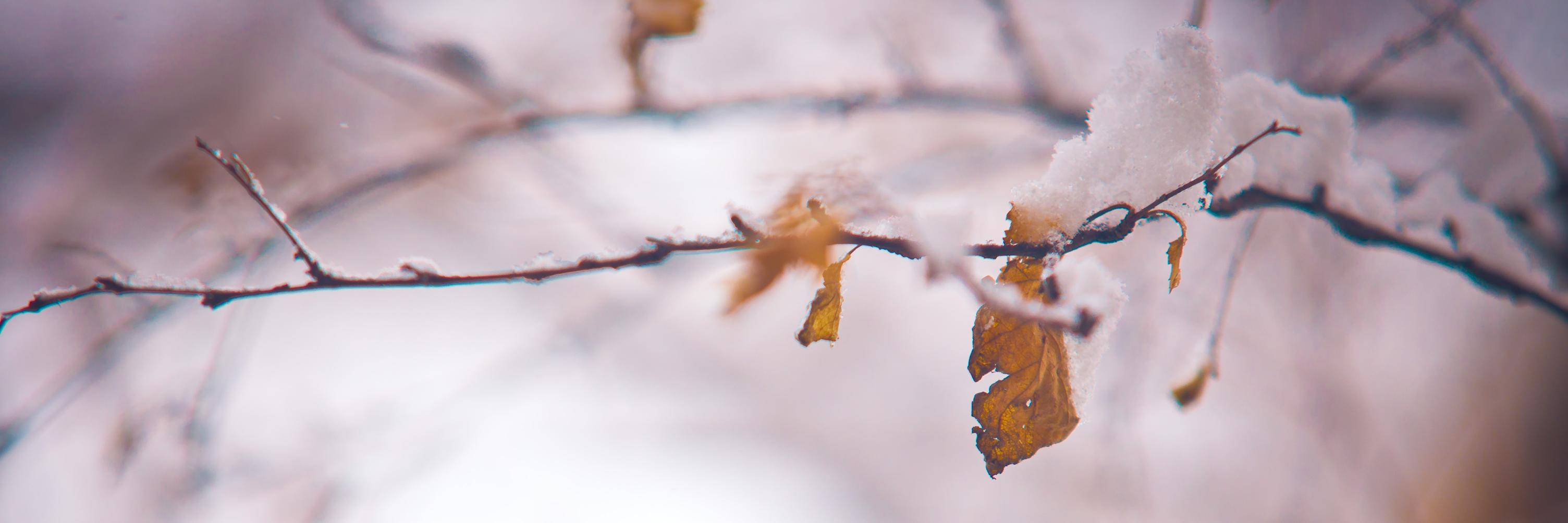 RunningMinn's profile banner image