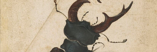LorenzBug Profile Banner