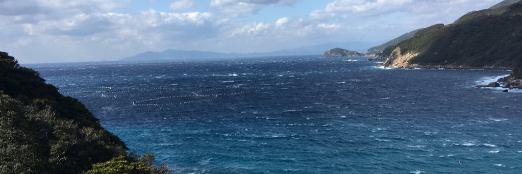 Yayoi_310's profile banner image