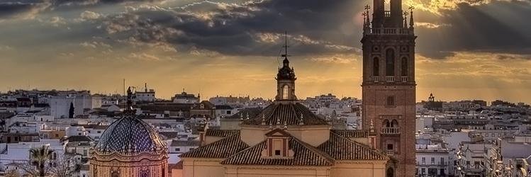 Carmonalimpia's profile banner image
