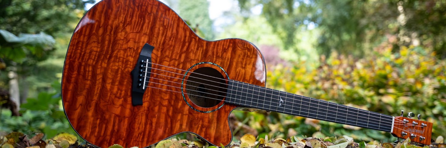TANGLEWOOD GUITARS banner