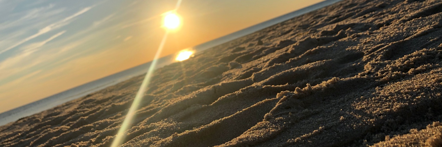 Jonathan Posner banner