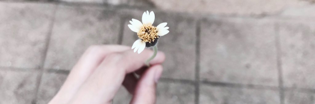 aphannapat's profile banner image