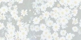MeliSandMG's profile banner image