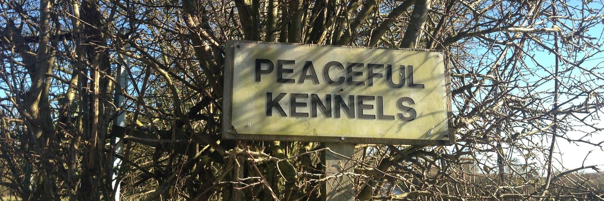 Peaceful Kennels banner