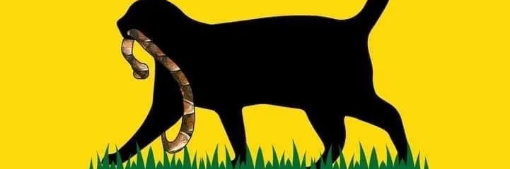 Phreaddie's profile banner image