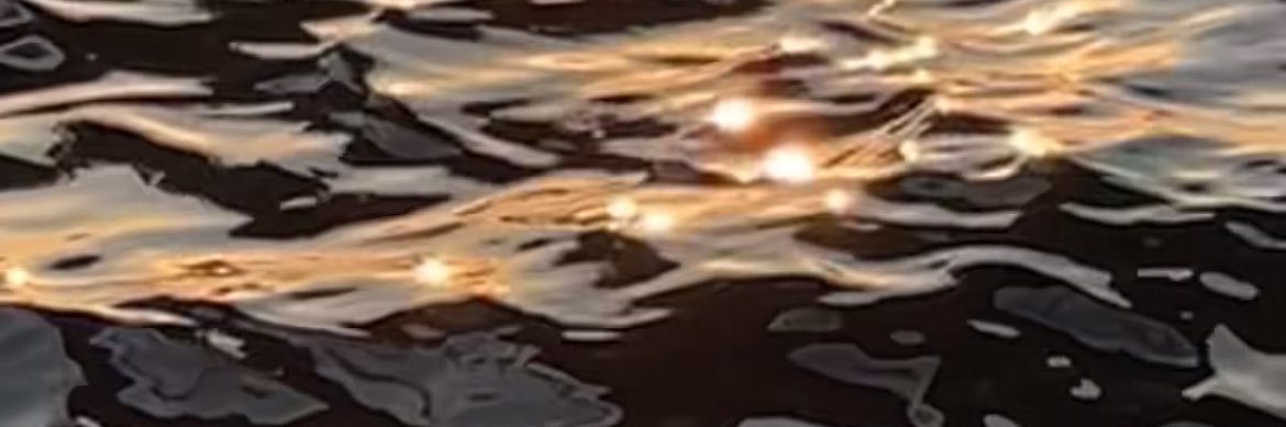 VOzenir's profile banner image