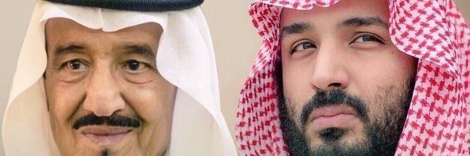 محمد العالمي النخبوي 🏆💚 banner
