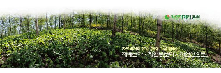 bikyul's profile banner image