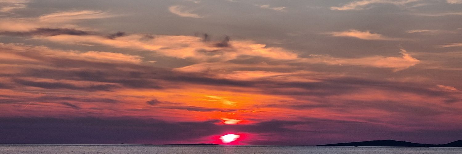 Prof. Aljoša banner