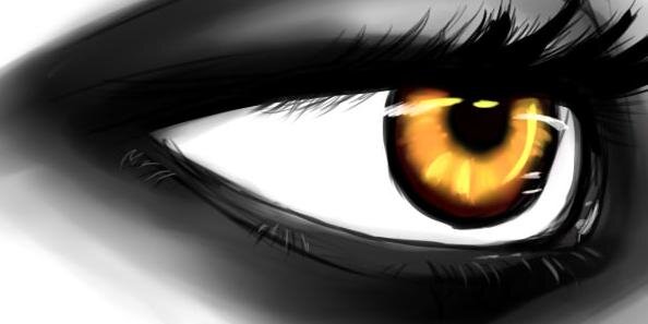 _Vieffe_'s profile banner image