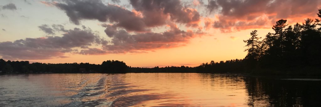 Alkup31's profile banner image