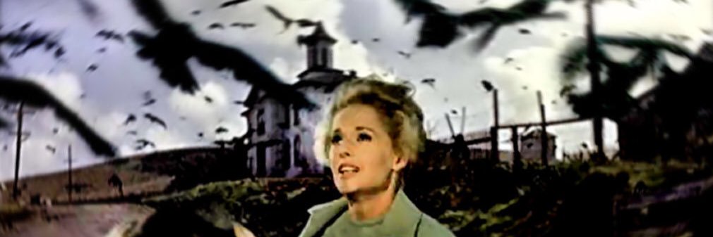 Seneca Marching Band banner