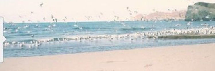 naif5325's profile banner image