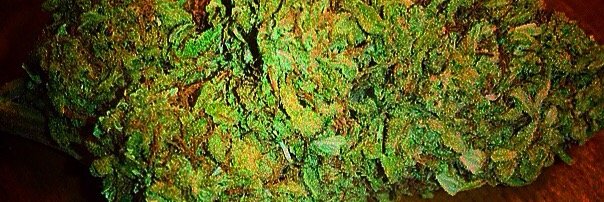 the_buddist's profile banner image