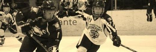 freddie dinsmore banner