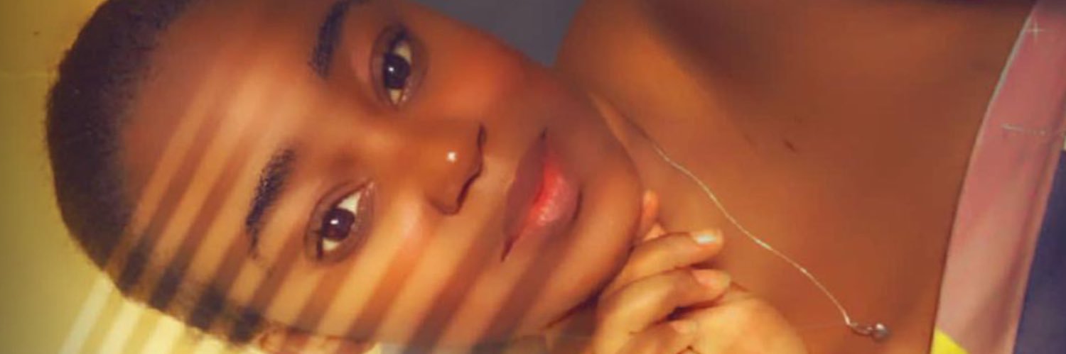 fresnellaure's profile banner image