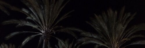 MattsTakis's profile banner image