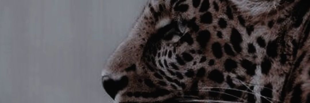Greg Davey banner
