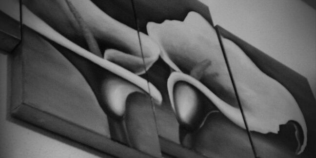 Davidgonmat's profile banner image