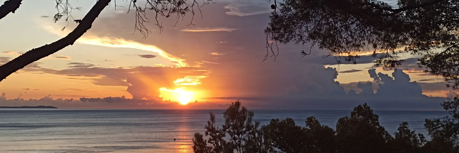 maiteosetborraz's profile banner image