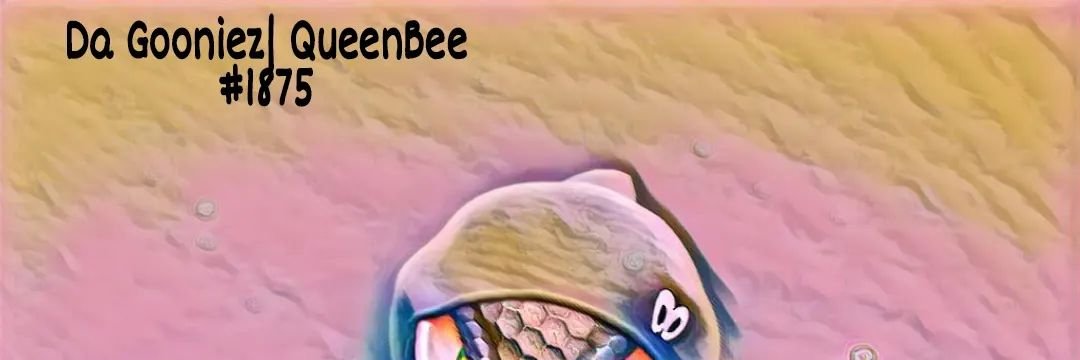 N_F_TQueenBee's profile banner image