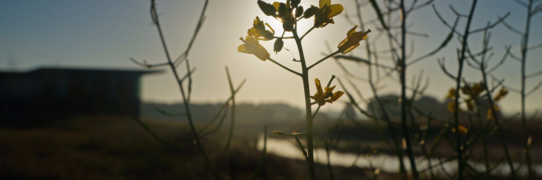 Ecomunitypark banner