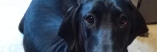 pamelabeck85's profile banner image