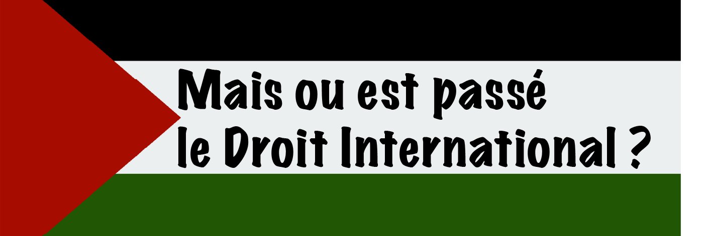 Pascale Fontesse banner