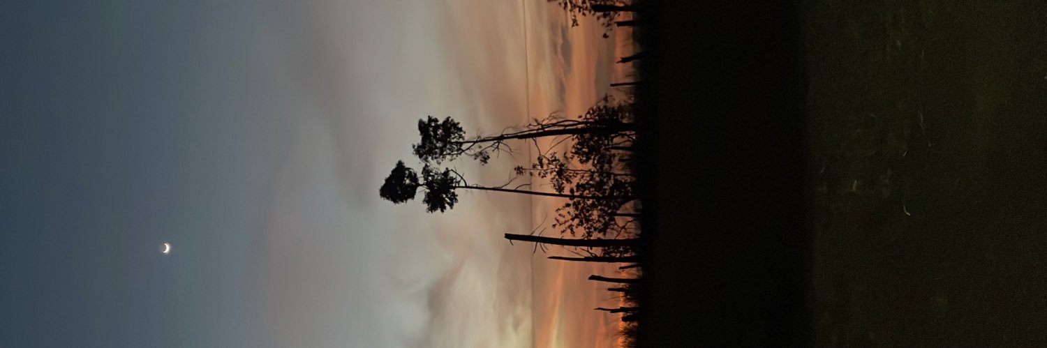 lucimmlo's profile banner image
