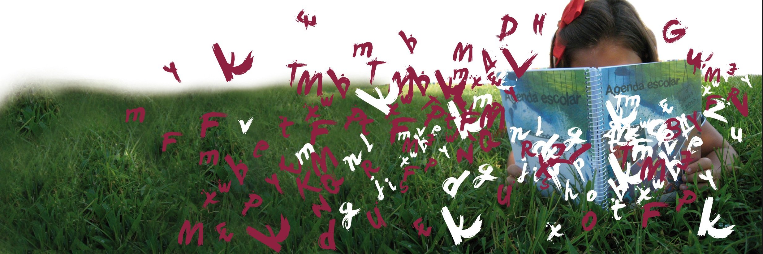 Reclam Editorial banner