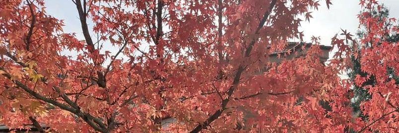 Itsaso81's profile banner image