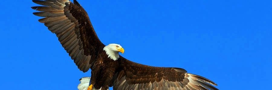 MadisonNJGOP's profile banner image