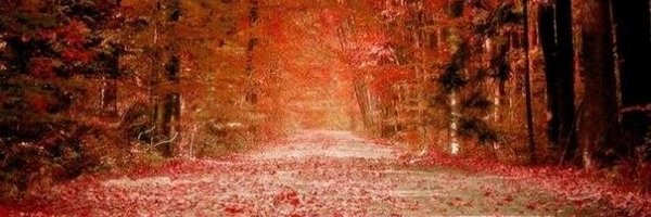 hussam_falih Profile Banner