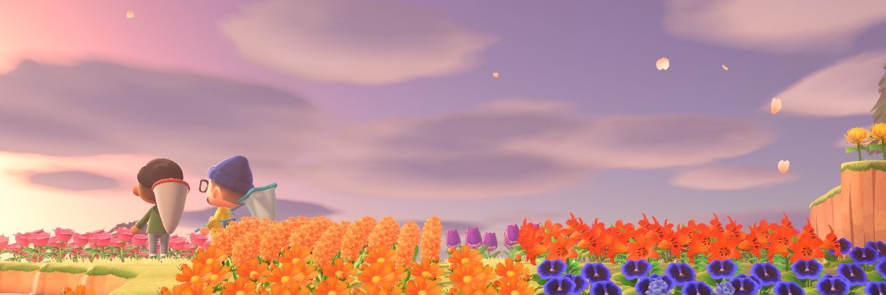 pocster's profile banner image