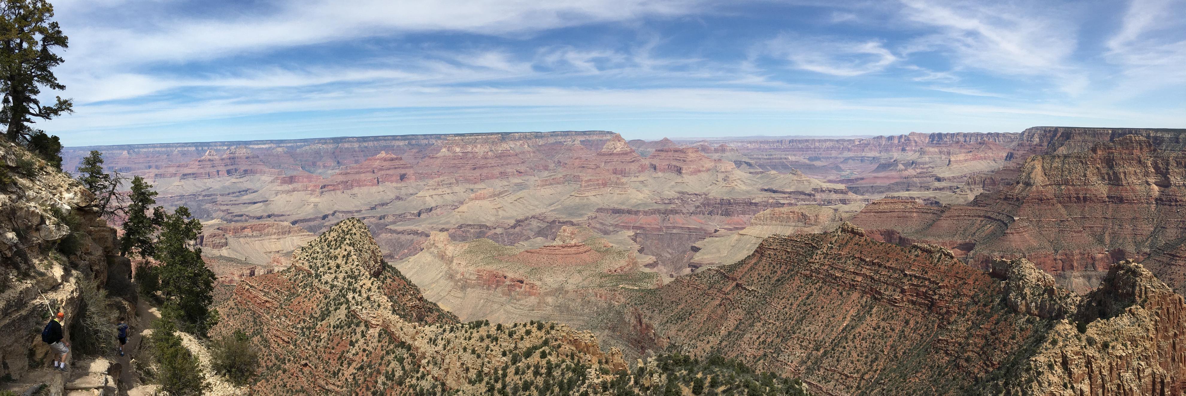 Nancy Zebrowski banner