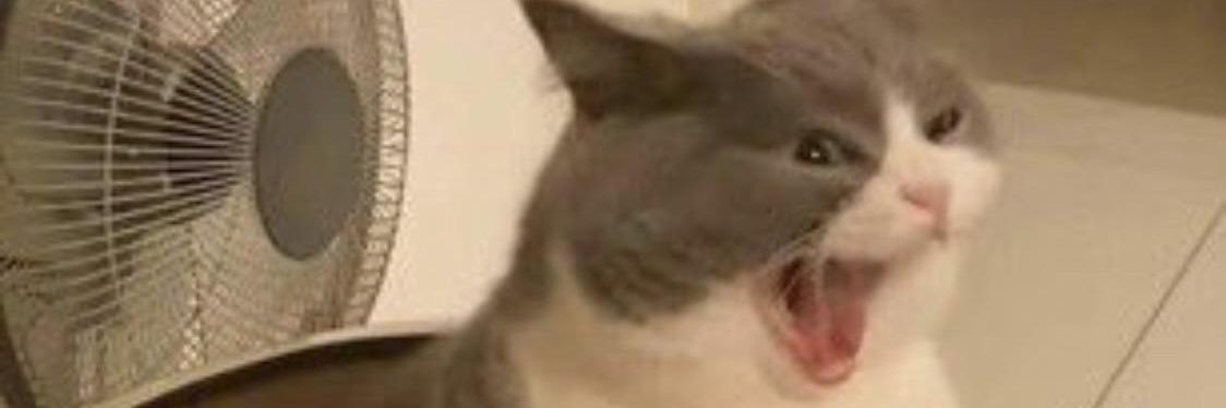 jonichang99's profile banner image