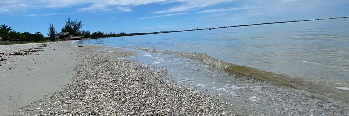 YahCastagnoli's profile banner image