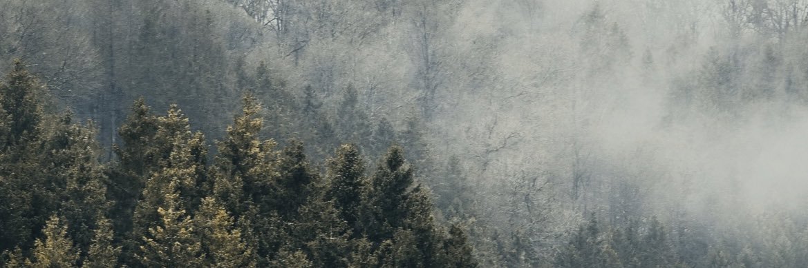 _duckworth98's profile banner image